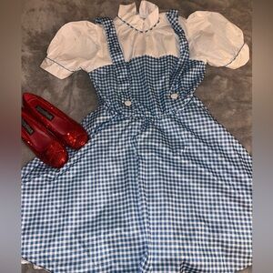 Adult Dorothy Costume Brand New